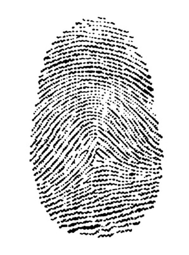 fingerprint drawing