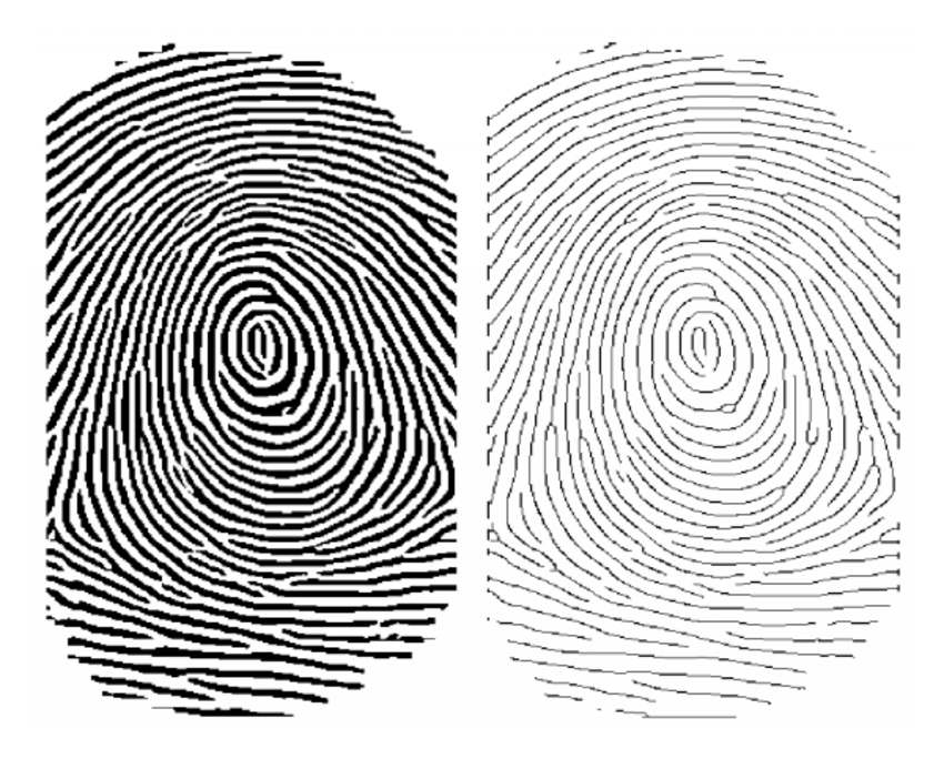 fingerprint-drawing-at-getdrawings-free-download