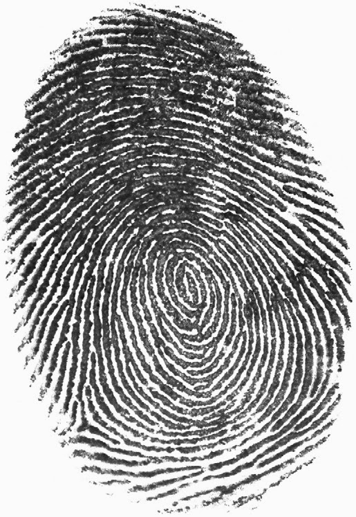 Fingerprints Drawing at GetDrawings | Free download