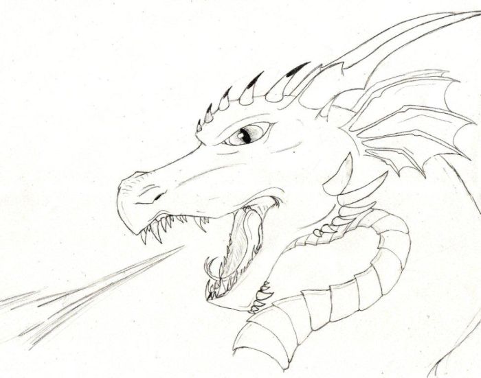 700x551 Scifi And Fantasy Art Fire Dragon Head By Carrie E Ott Tattoos.