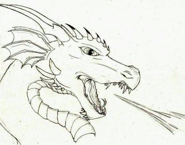 Fire Dragon Drawing at GetDrawings | Free download