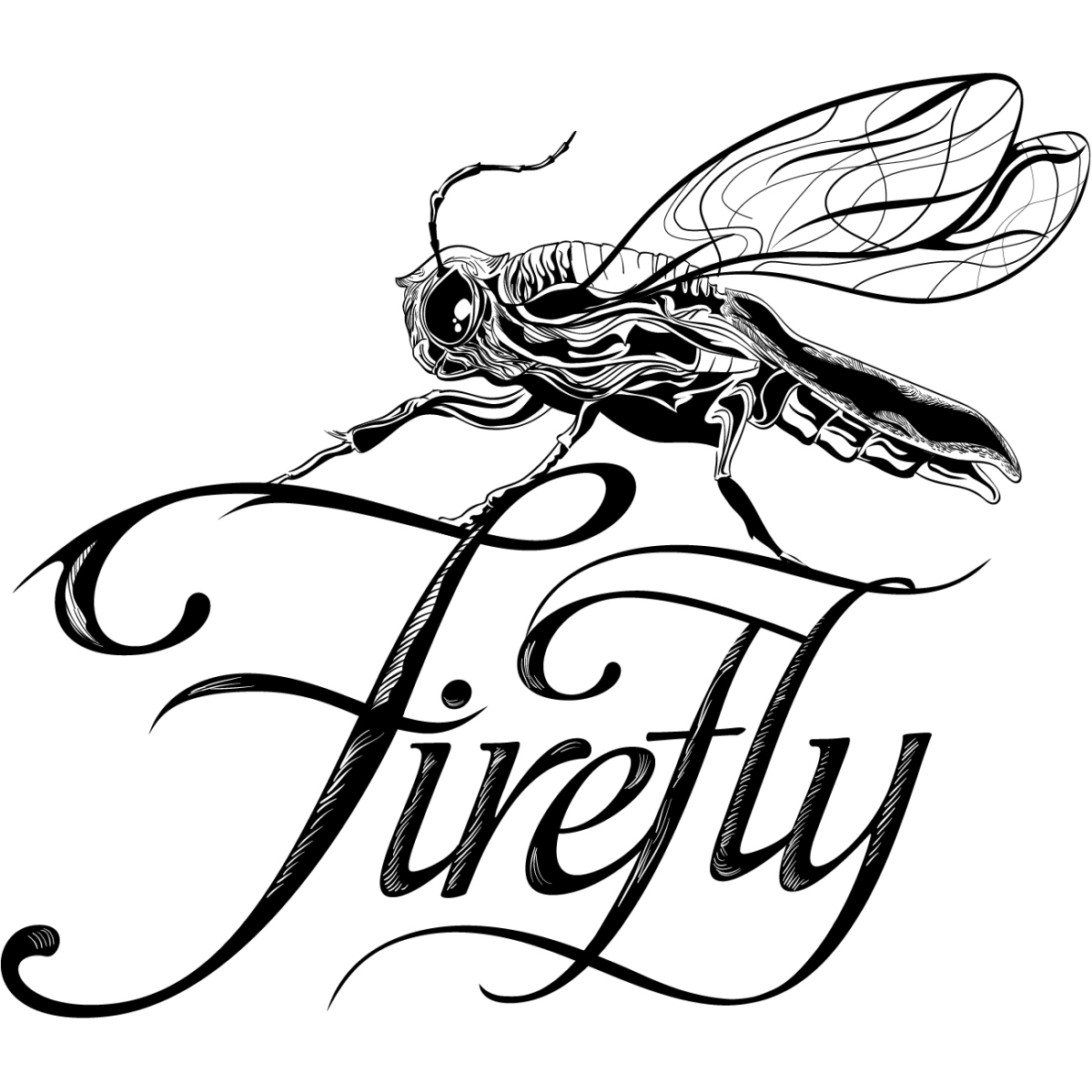 Firefly Drawing at GetDrawings Free download
