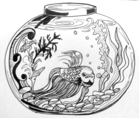 Fish Bowl Drawing