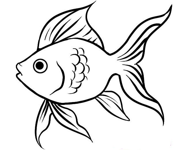 Fish Drawing Outline at GetDrawings | Free download