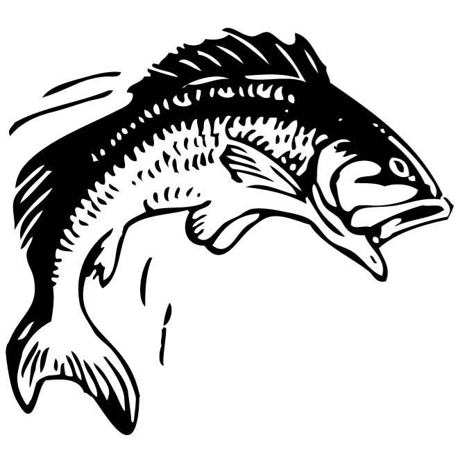 Fish Jumping Out Of Water Drawing at GetDrawings Free download