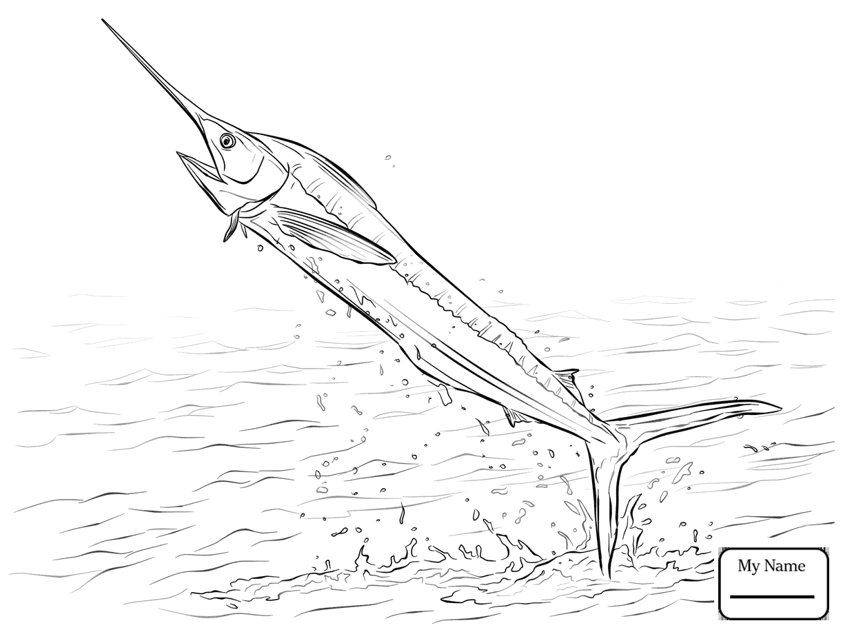 sailfish jumping line art