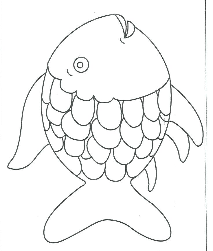 Fish Outline Drawing at GetDrawings Free download