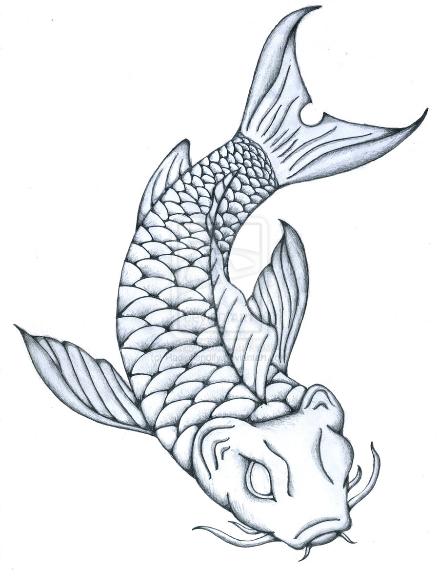 Fish Pencil Drawing at GetDrawings | Free download