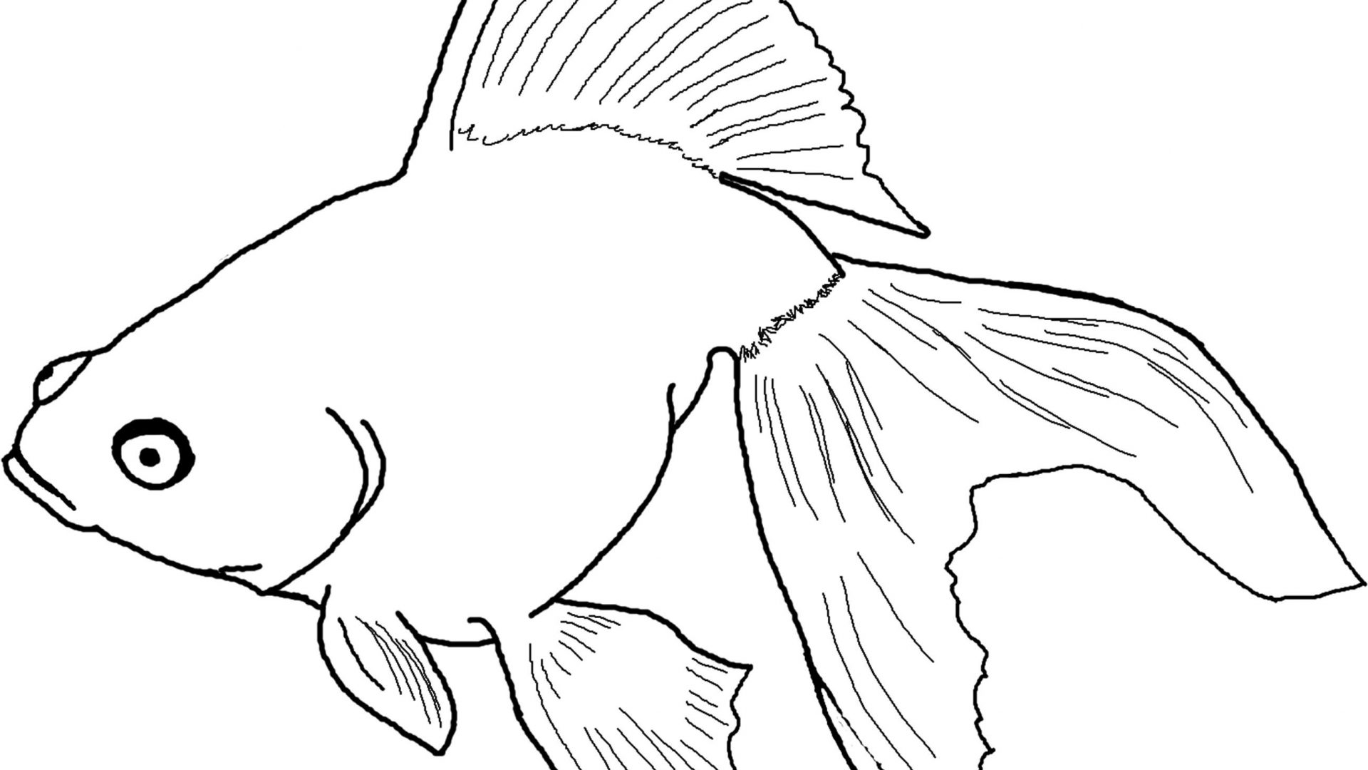 Косяк рыбок нарисованный