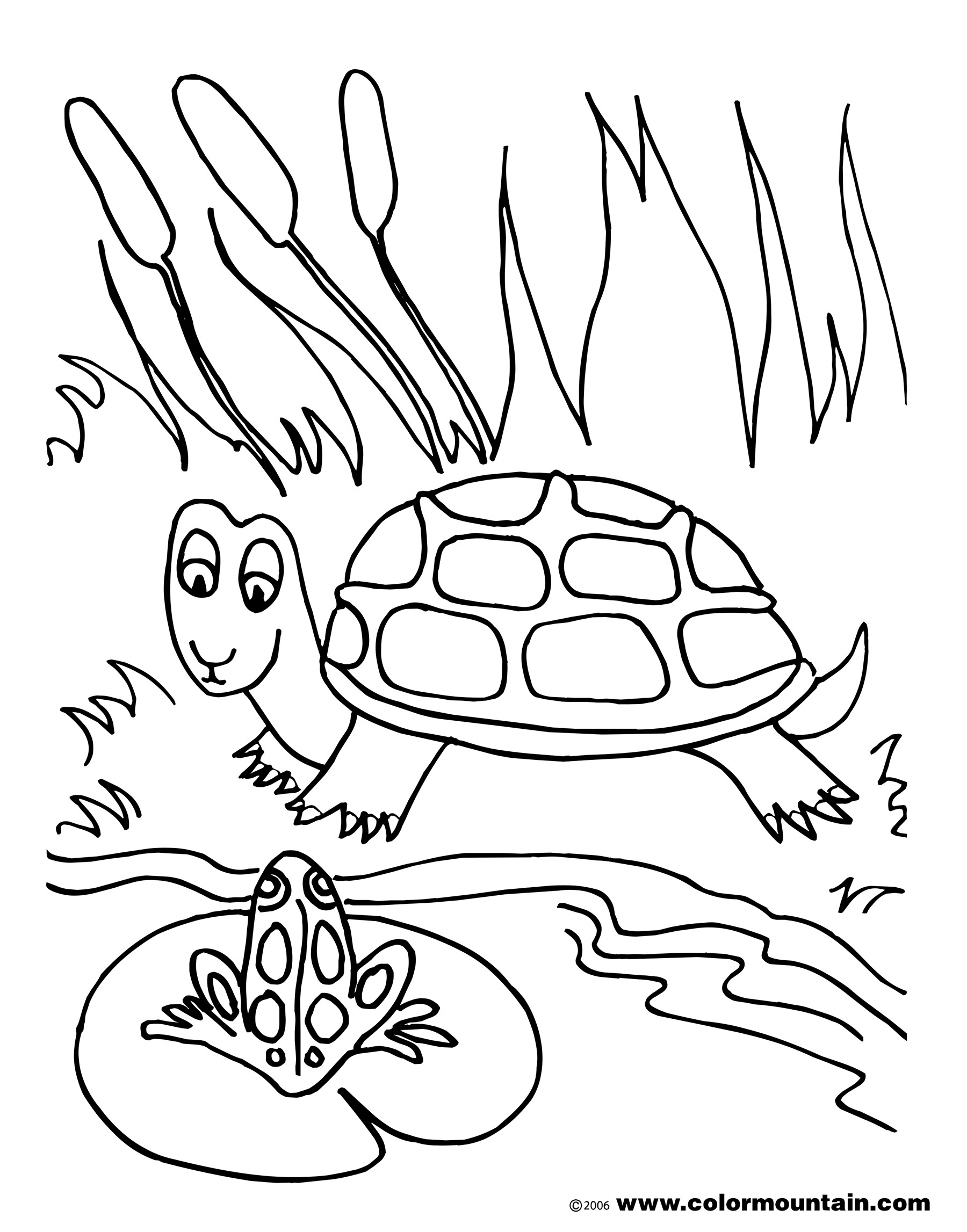 Fish Pond Drawing At GetDrawings Free Download