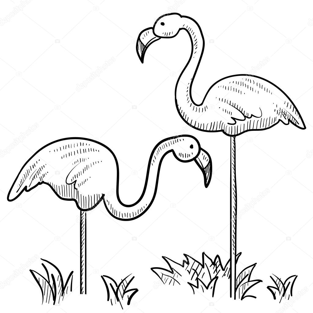 Flamingo Line Drawing at GetDrawings Free download