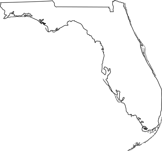 Step 4: Connecting the lines to form Florida’s shape