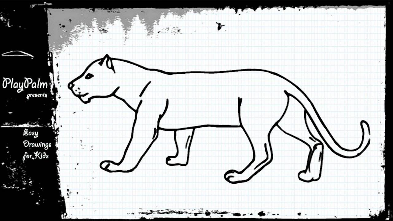 Florida Panther Drawing at GetDrawings Free download