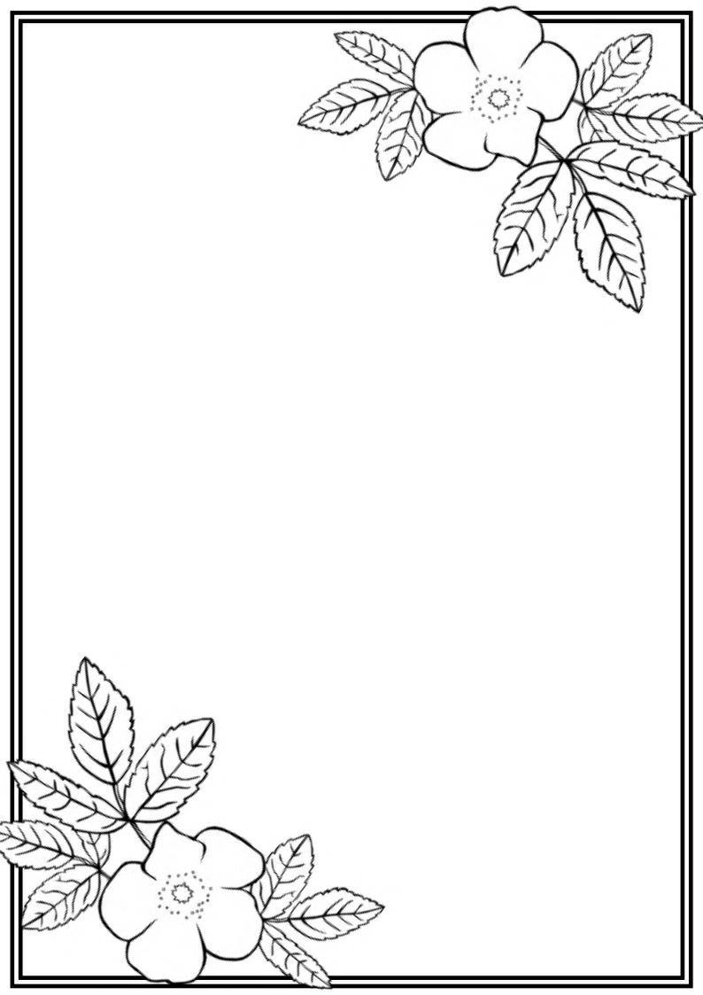 Simple Floral Border Flower Design Drawing MidnightDreamers