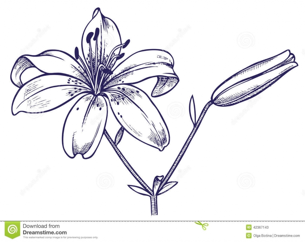 Flower Bud Drawing at GetDrawings Free download