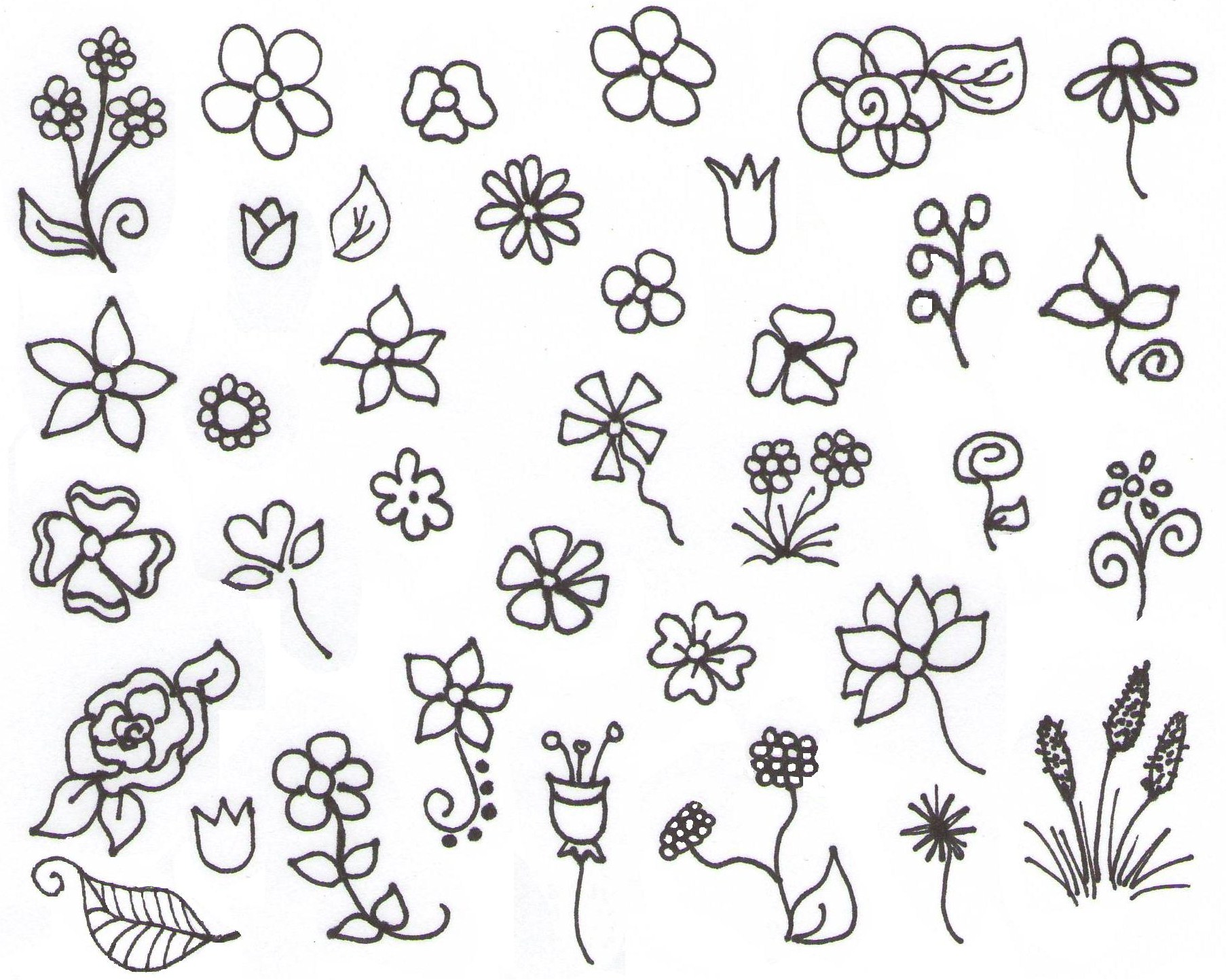 Flower Drawing For Beginners at GetDrawings Free download