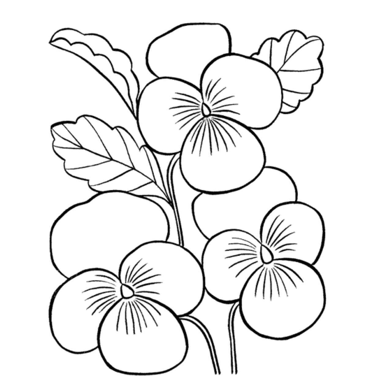 Flower Drawing Wallpaper at GetDrawings | Free download