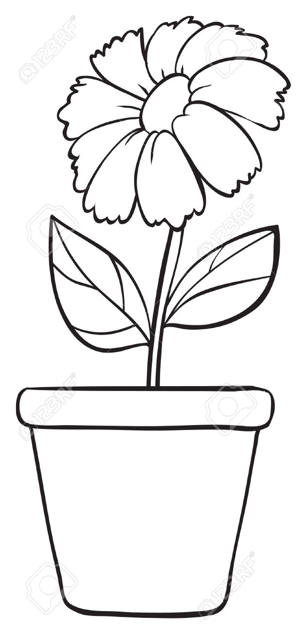 A Beautiful Flower Pot Drawing vase of flowers pencil_sketch 
