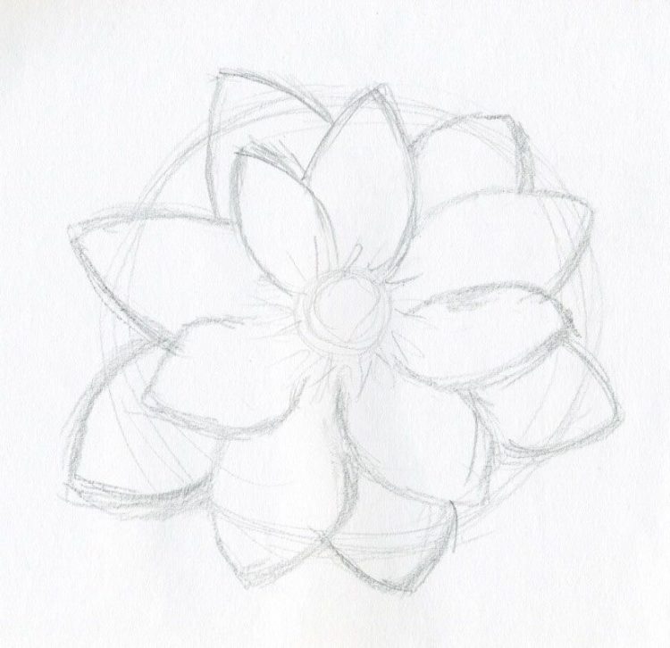 flower-step-by-step-for-beginners-drawing-at-getdrawings-free-download