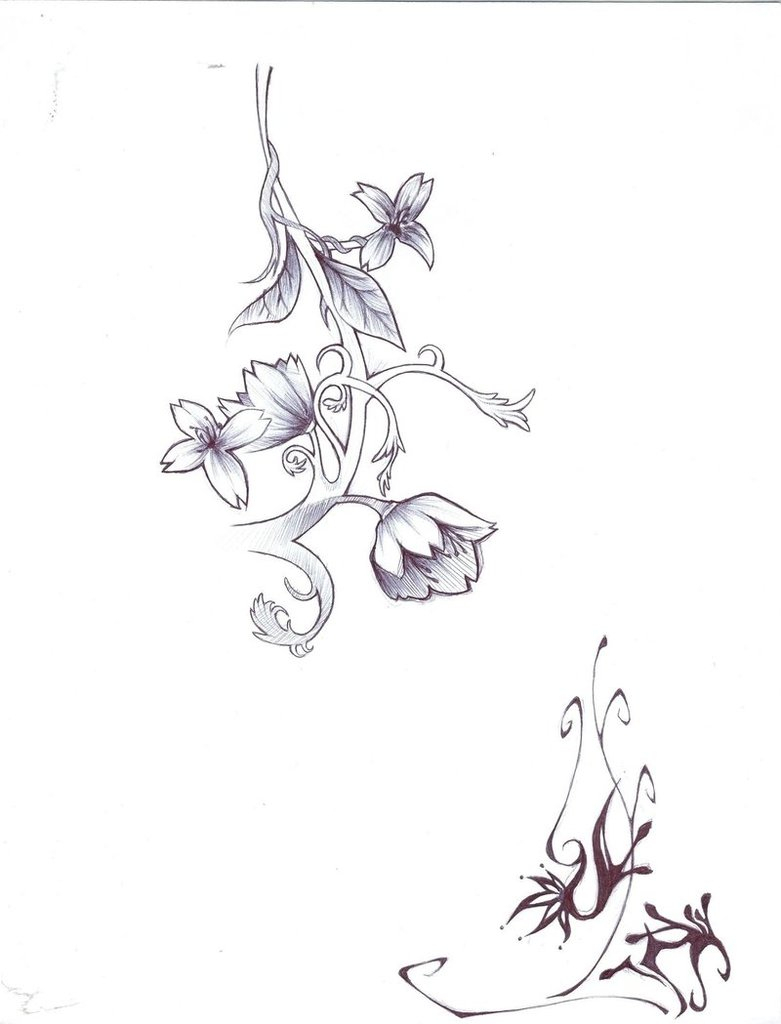 Vines Drawing With Flowers - Redbuttler Wallpaper