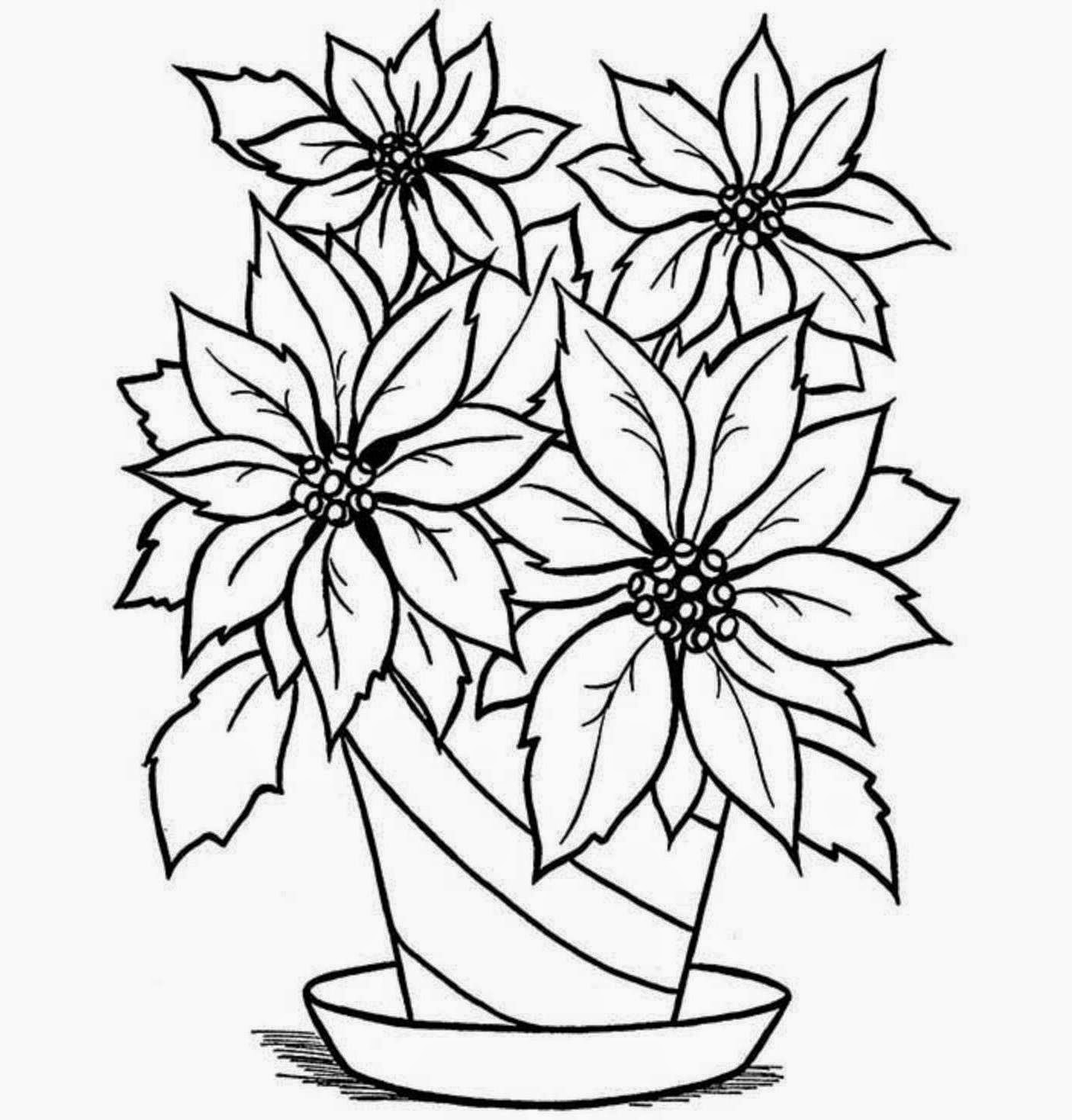 Flower Drawing Images Without Colour - Kolejowy Swiat