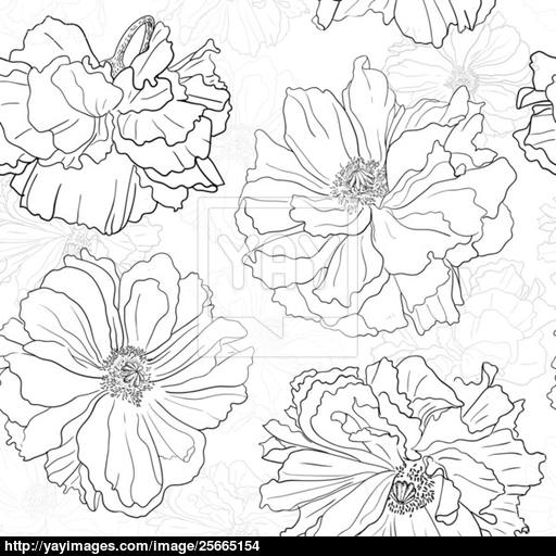 White Flower Wallpaper Drawing - Black White Floral Wallpaper High Res Stock Images Shutterstock