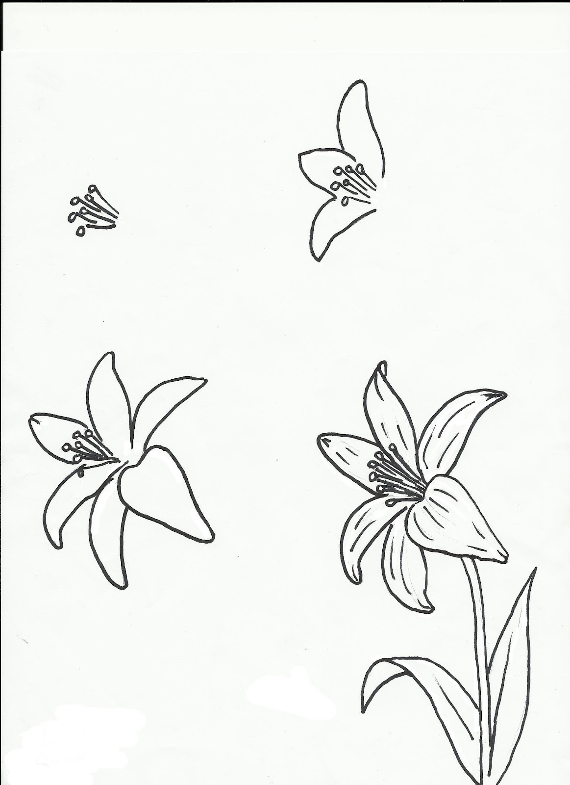 easy flower drawing for beginners