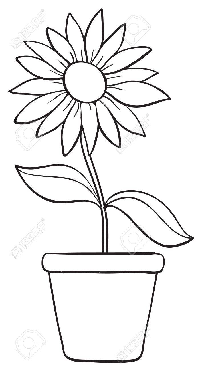 Flowers In A Pot Drawing at GetDrawings | Free download