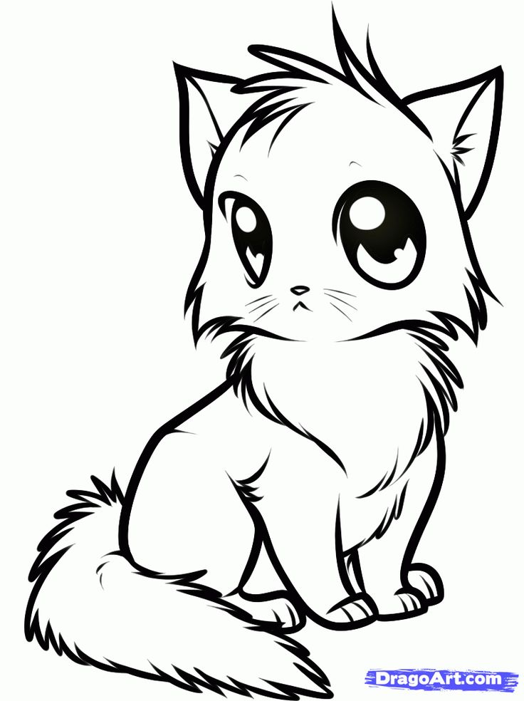 fluffy cat coloring pages