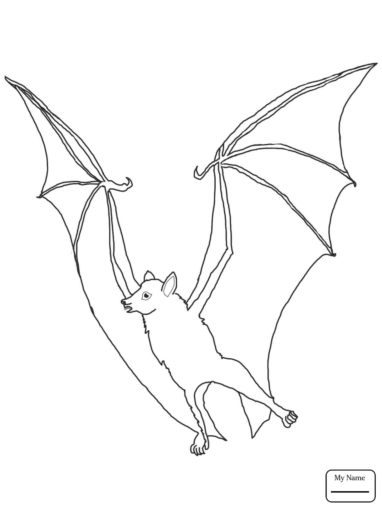 Летучая мышь рисунок карандашом