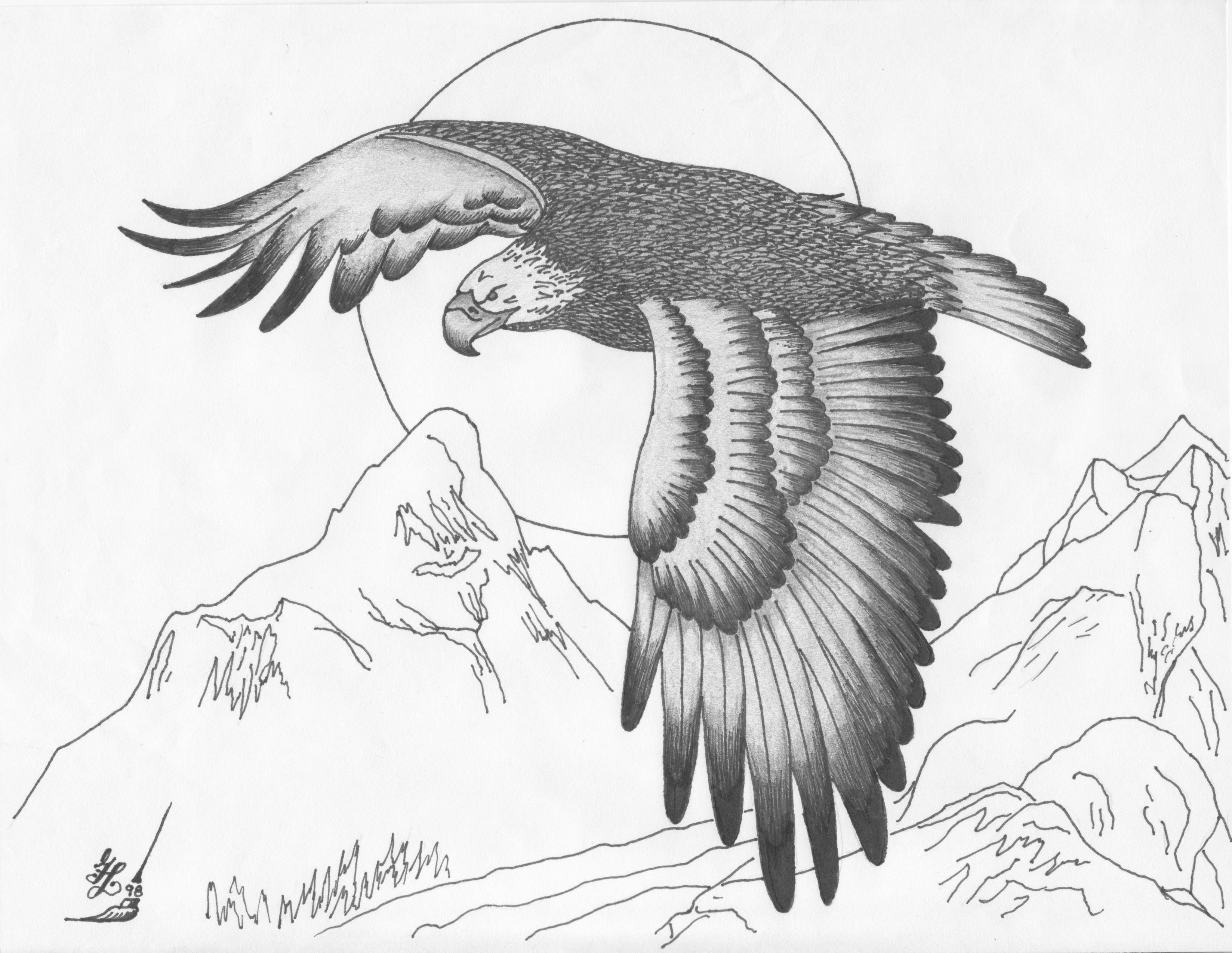 Flying Eagle Easy Pencil Eagle Drawing - img-Abishag