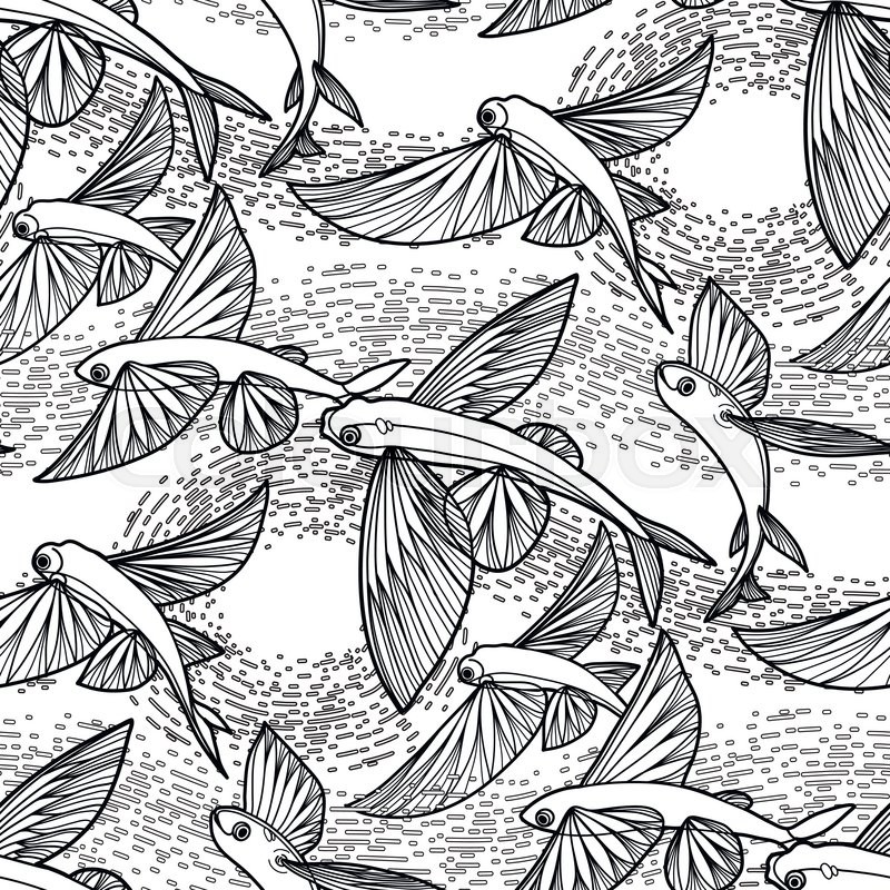 Flying Fish Drawing at GetDrawings | Free download