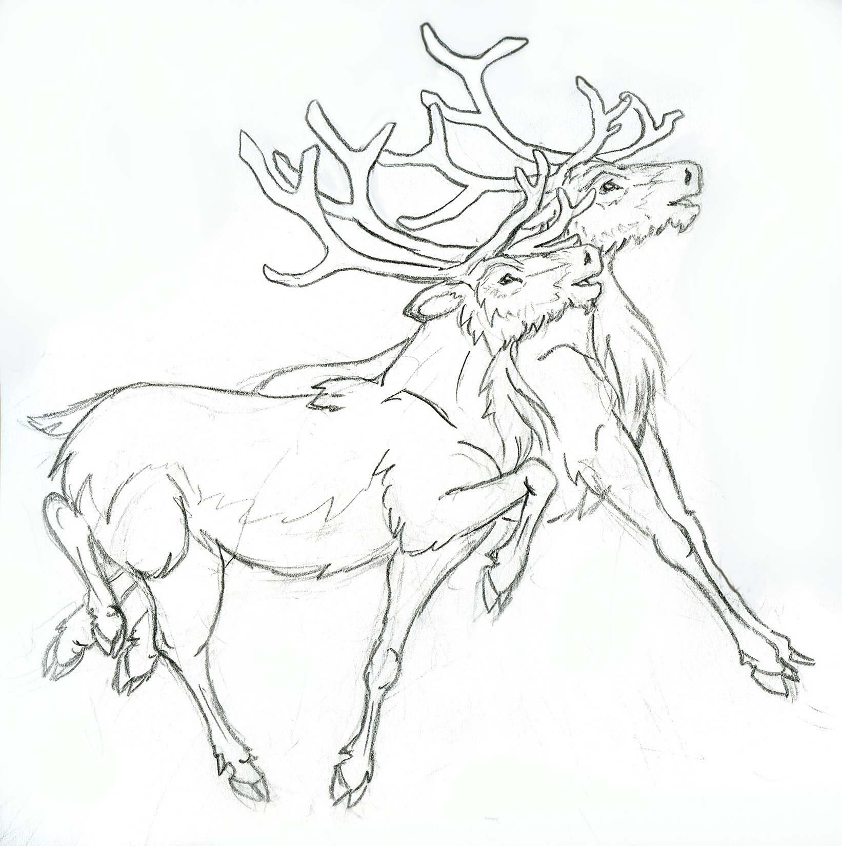 Flying Reindeer Drawing at GetDrawings Free download