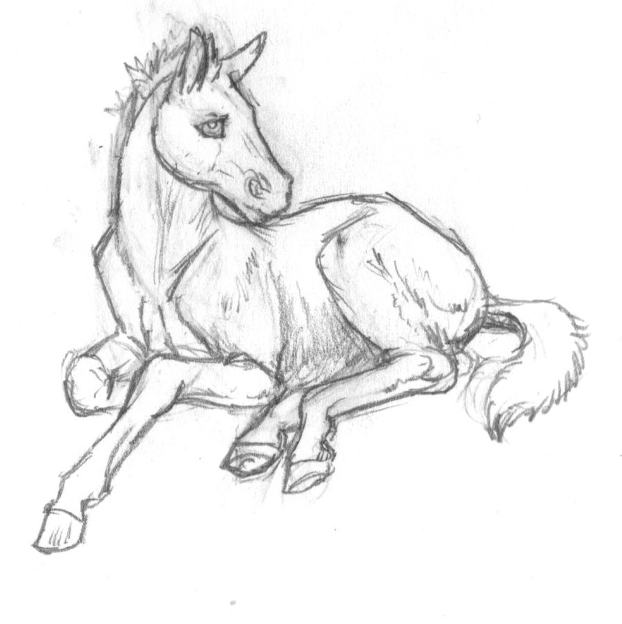 Foal Drawing at GetDrawings Free download