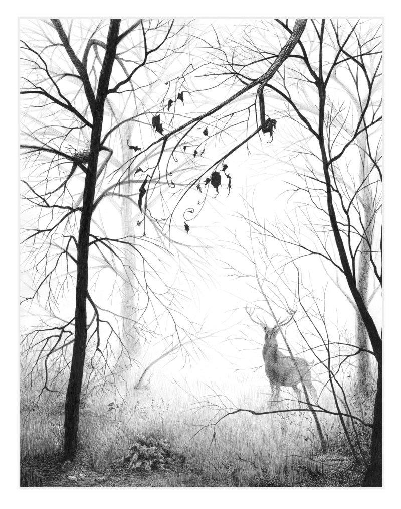 The best free Fog drawing images. Download from 71 free drawings of Fog