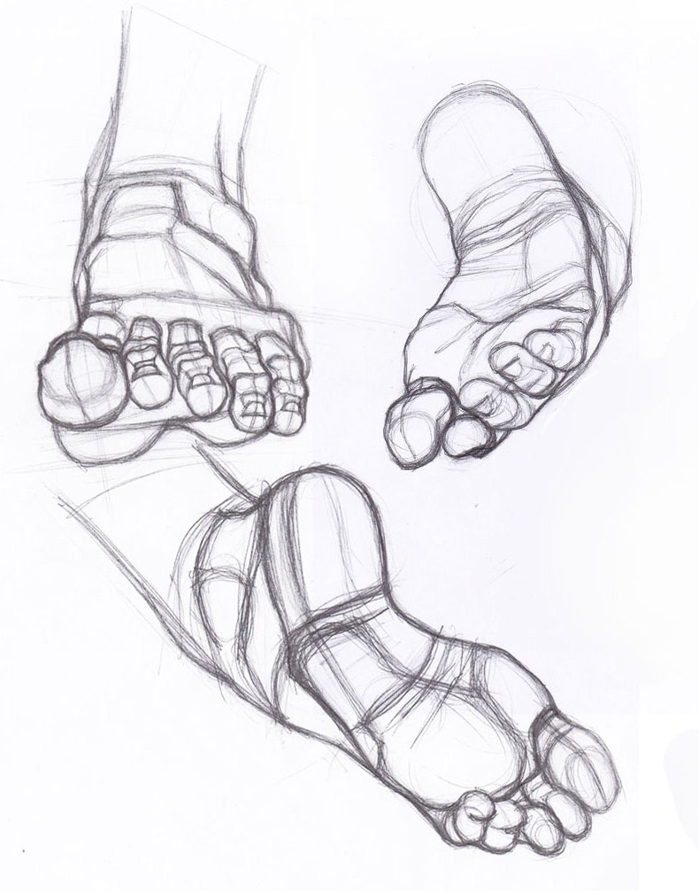 human foot sketch