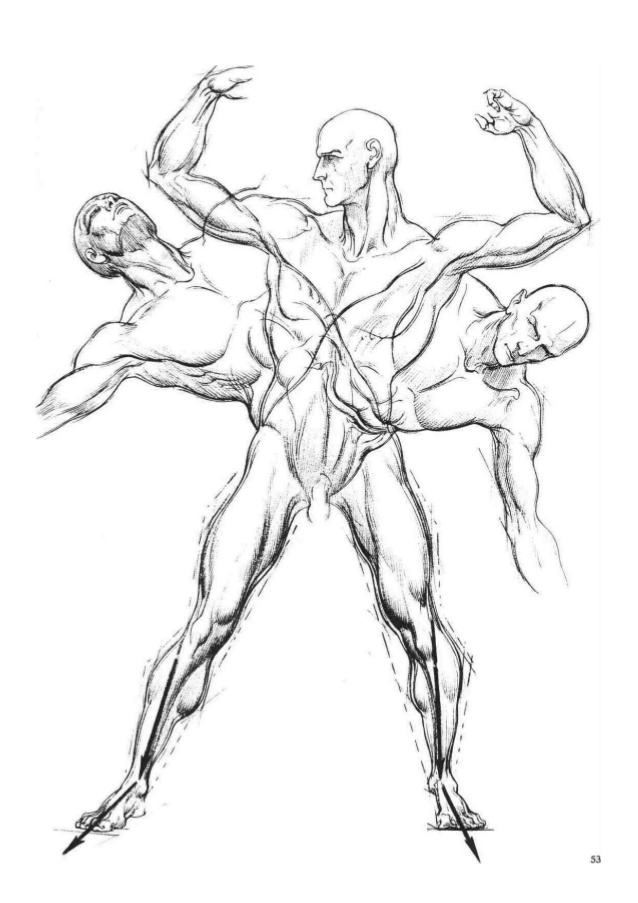 hogarth dynamic figure drawing