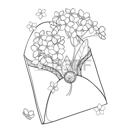 Forget Me Not Flower Drawing at GetDrawings | Free download