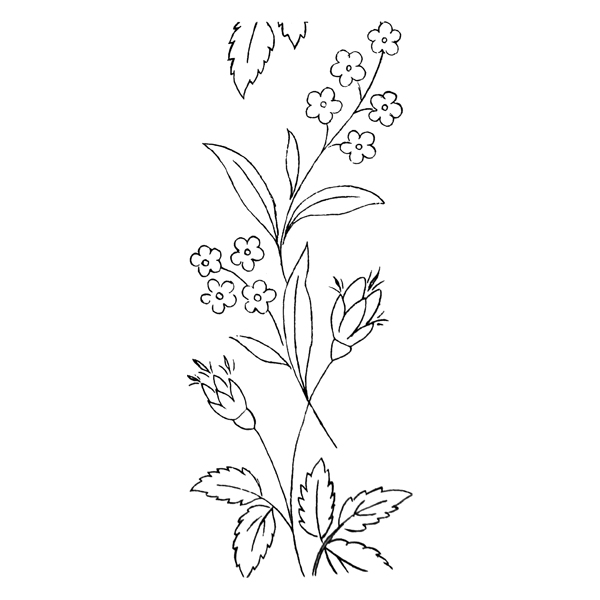 Forget Me Not Drawing at GetDrawings | Free download