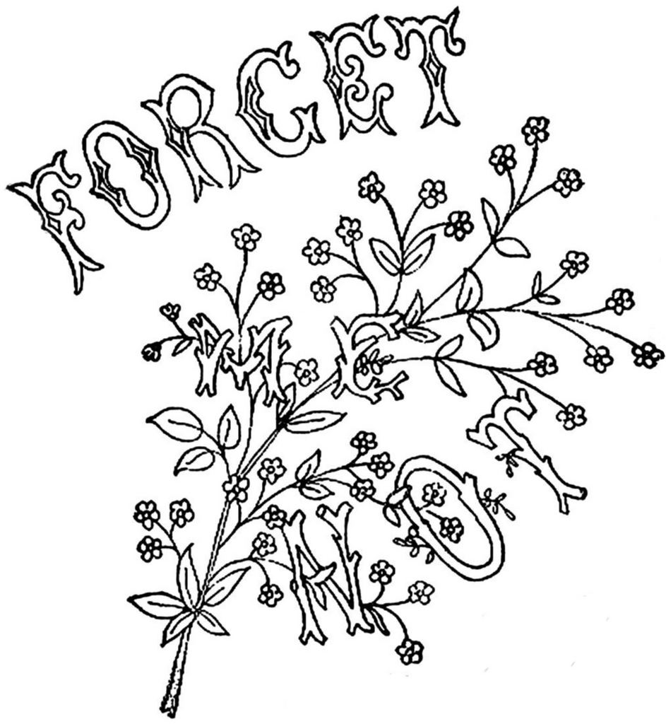 Forget Me Not Drawing at GetDrawings | Free download