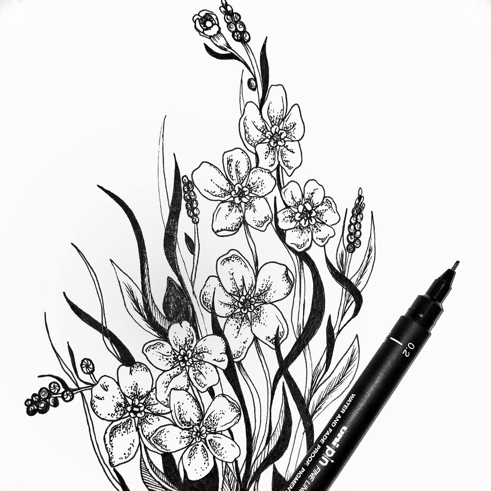 Forget Me Not Drawing at GetDrawings | Free download