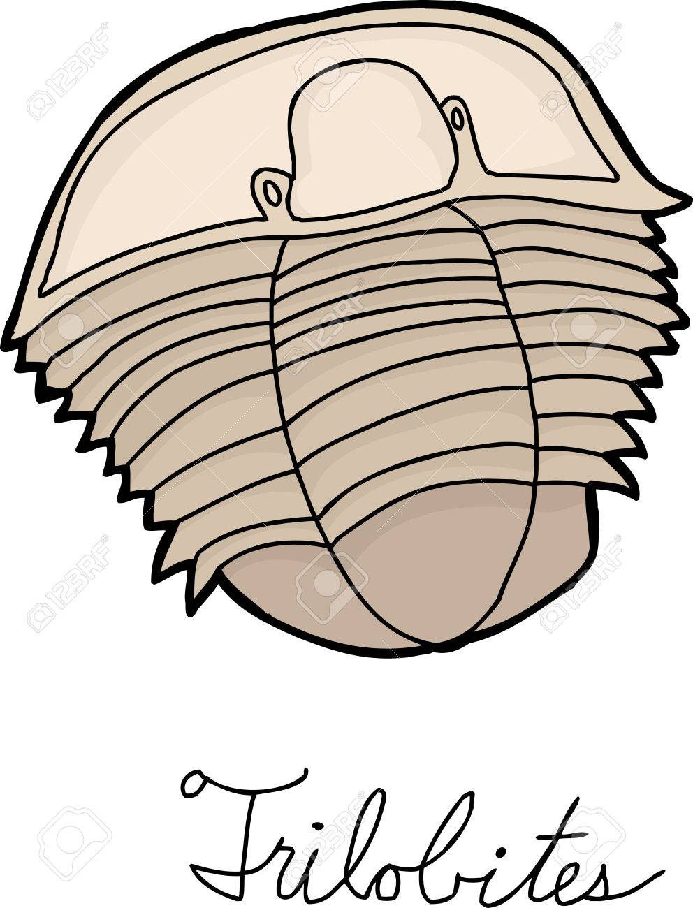 Fossil Vector at GetDrawings | Free download