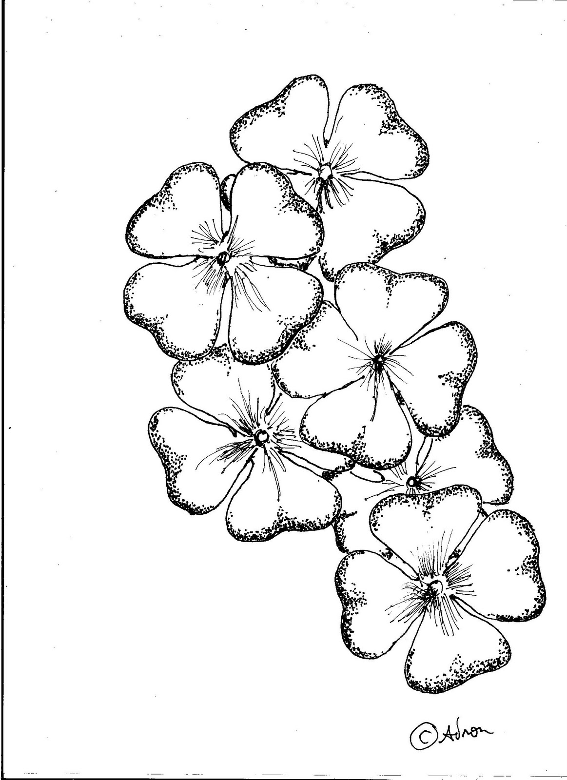 1163x1600 4 Leaf Clover Drawings Step Finished Four Leaf Clover How ...