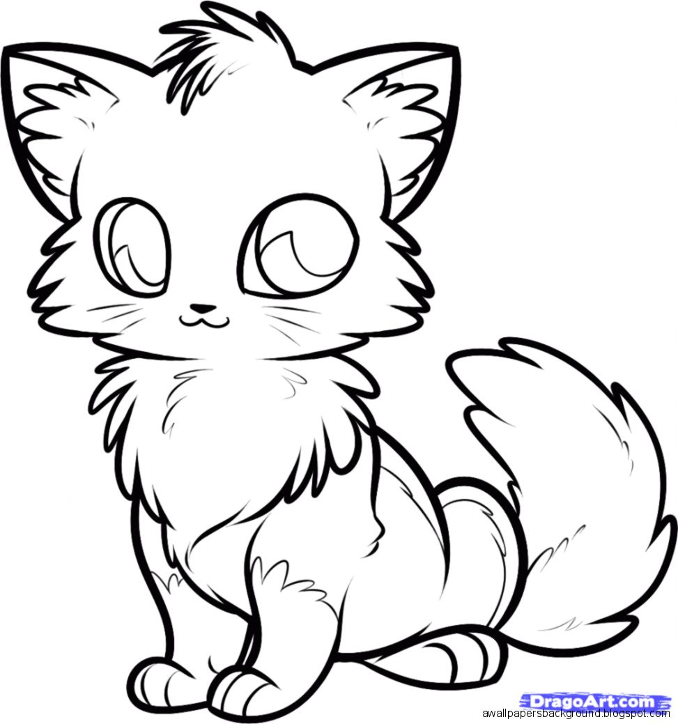 Featured image of post Easy Cute Animal Drawings Fox