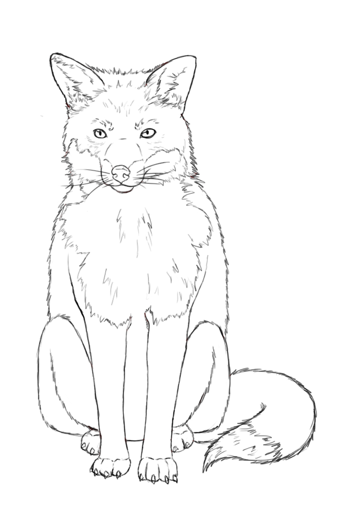 Fox Drawing Outline at GetDrawings Free download