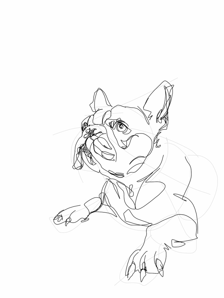 French Bulldog Line Drawing at GetDrawings Free download
