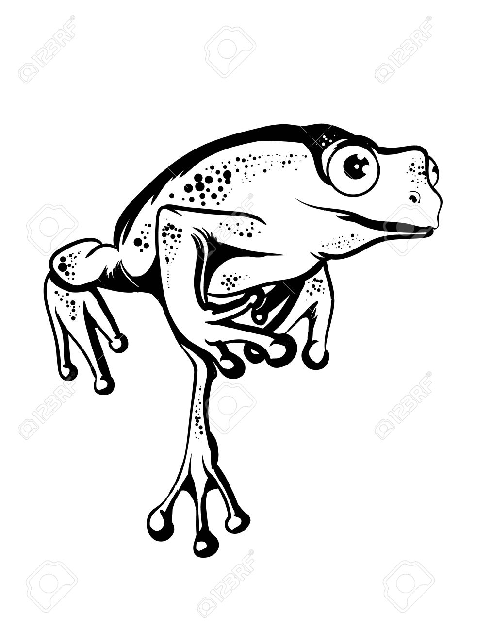 Frog Jumping Drawing at GetDrawings Free download