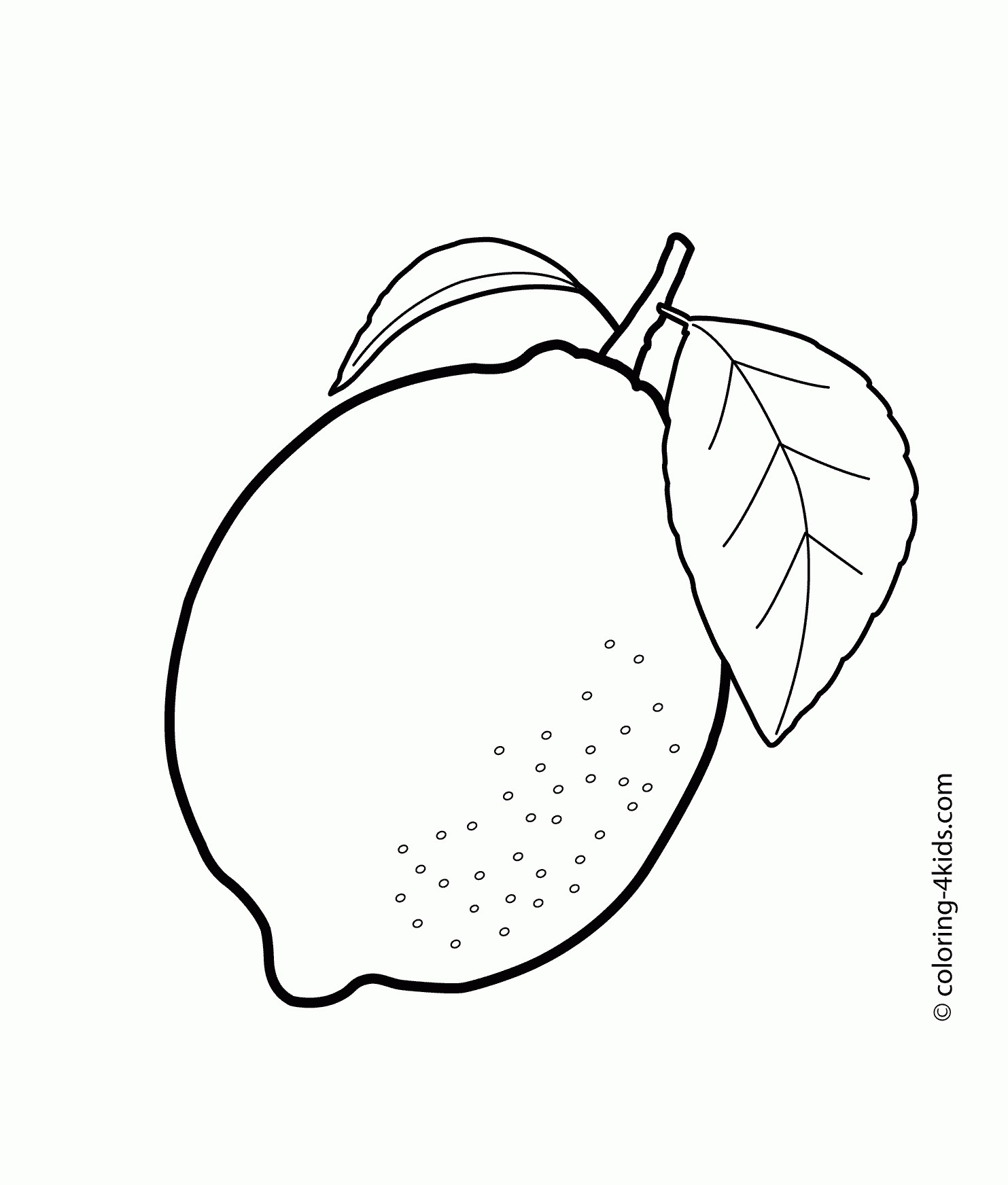 Fruit Drawing Images at GetDrawings | Free download