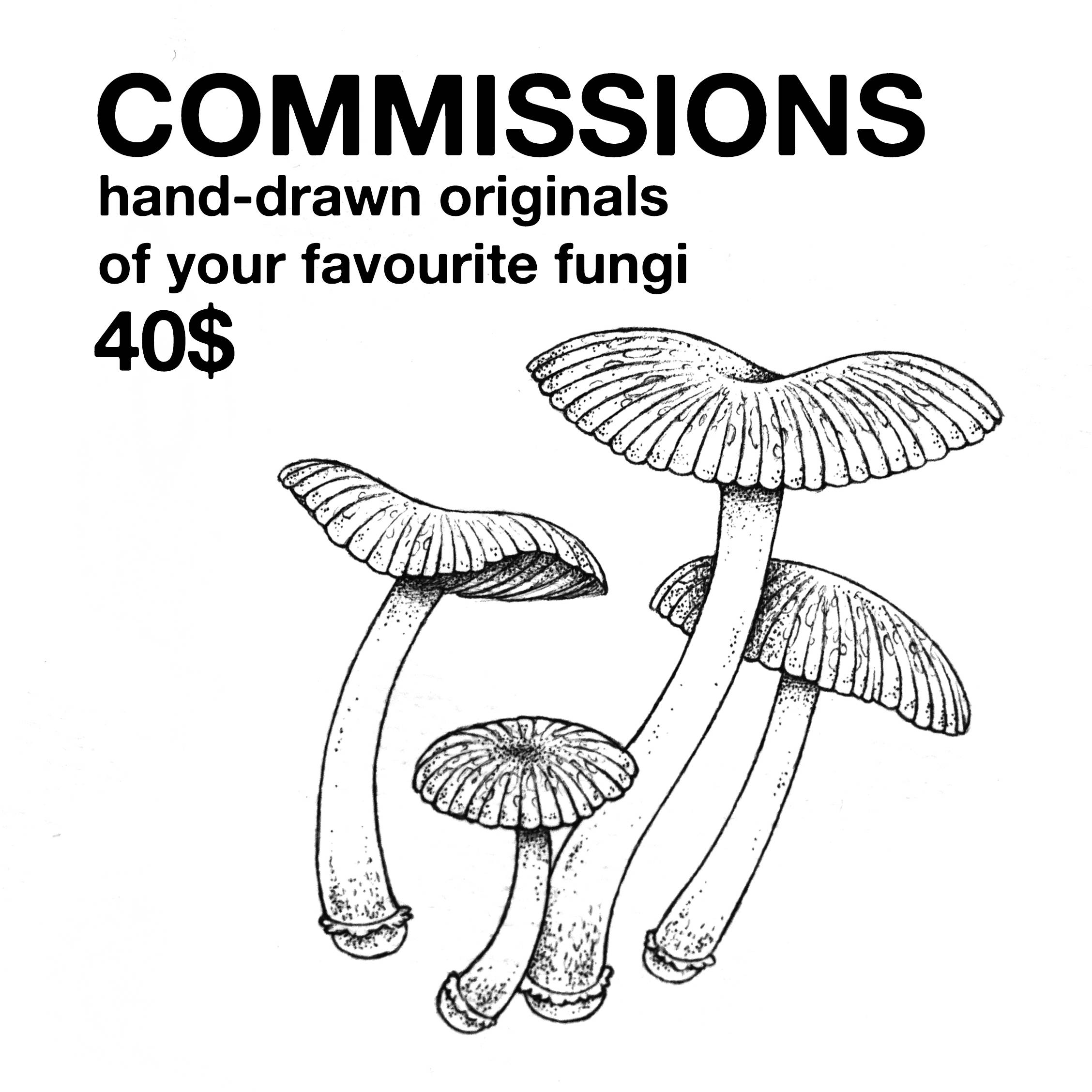 Fungi Drawing at GetDrawings Free download