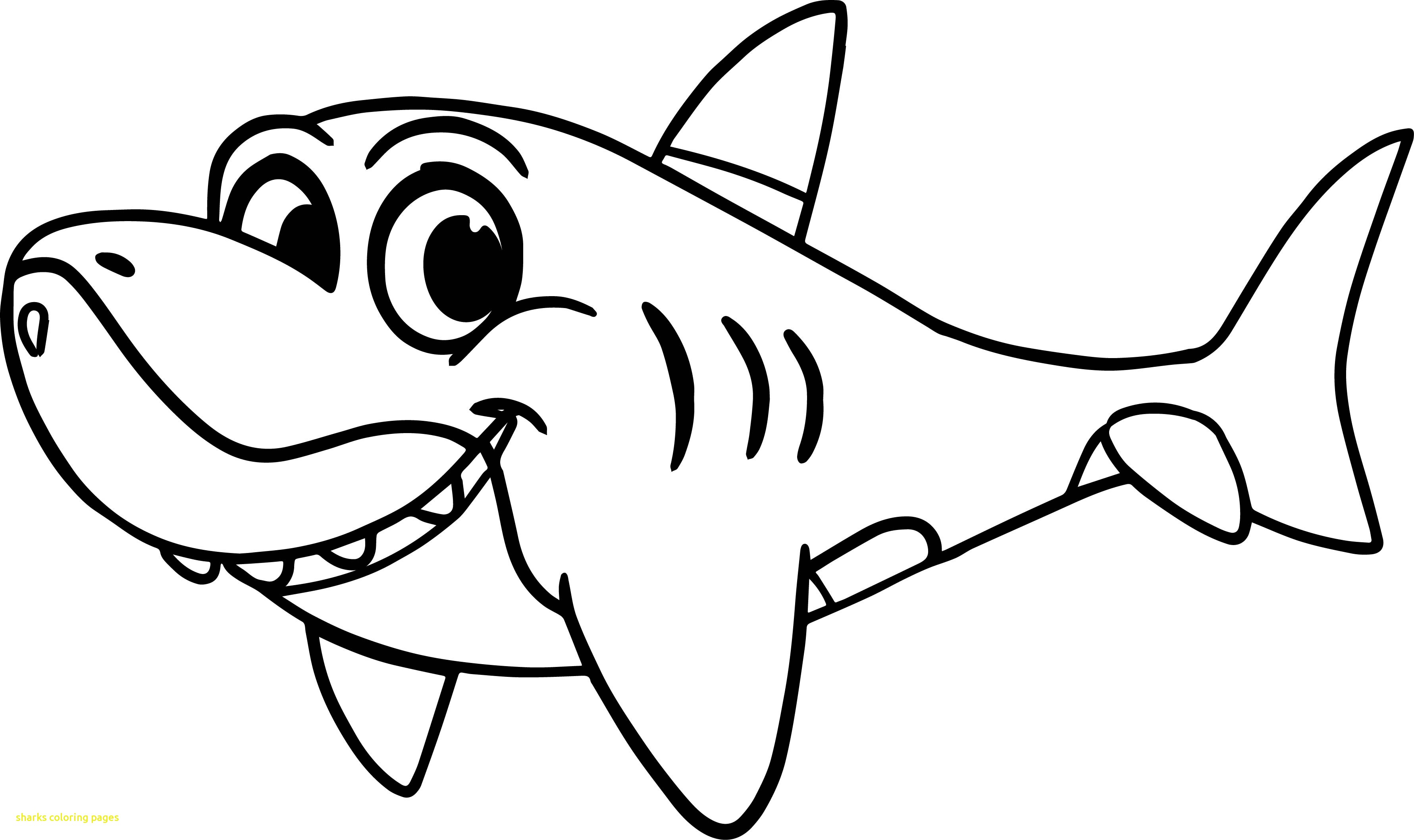 Funny Shark Drawing At GetDrawings Free Download